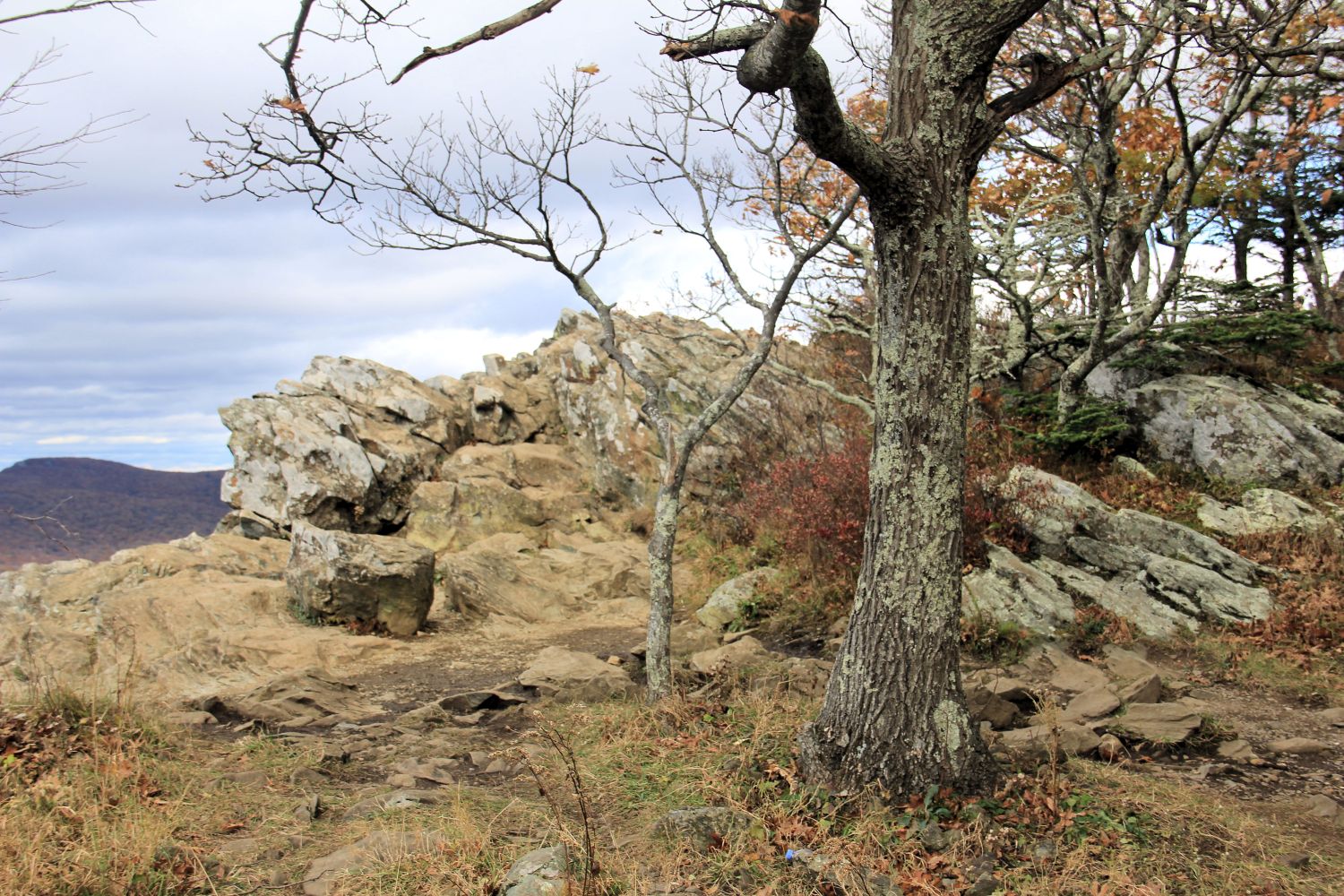 Hawksbill Trail 